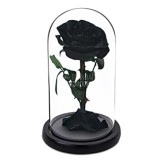 Cumpara ieftin Trandafir criogenat bella negru (&Oslash;8cm) in cupola (12x25cm)