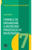 Formele de organizare a instruirii procesului de invatamant - Sorin Cristea