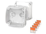 Carcasă de conexiuni IP66 compactă