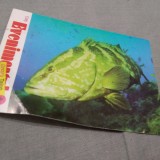 Cumpara ieftin CALENDAR 1988 EVENIMENTUL