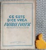 Brosura Partidul Evreiesc Romania - Principii si Program 1945, editia scrisa la Tiparul Liber, 31 pagini, limba romana