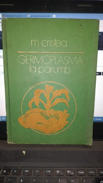 Germoplasma la porumb - M.Cristea