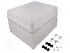 Carcasa ABS, 241mmx291mmx168mm, IP66, SCHNEIDER ELECTRIC - NSYTBS292416H
