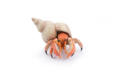 Papo Figurina Crab Pustnic foto