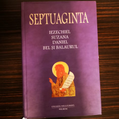 Septuaginta 6/II, Polirom
