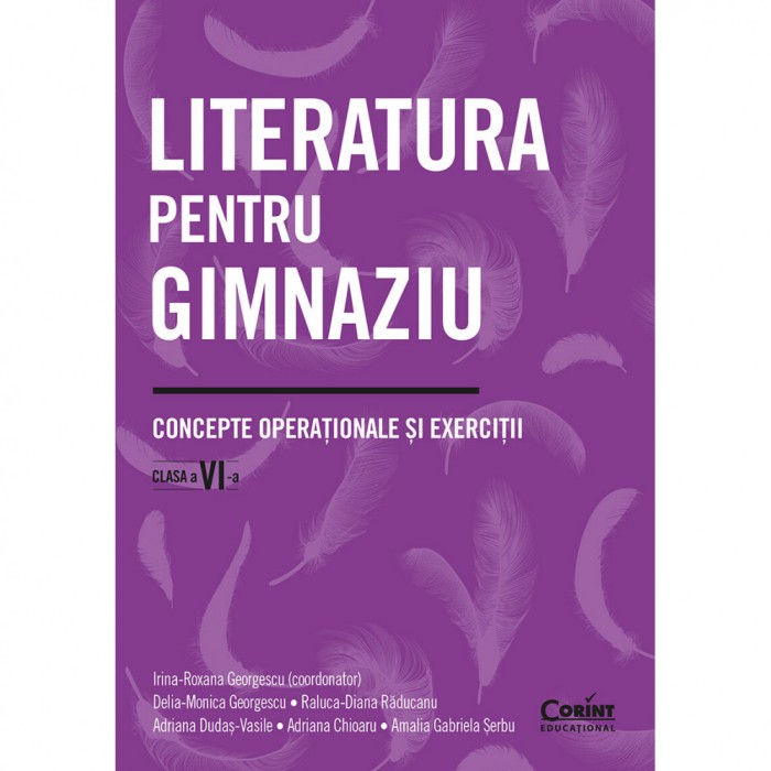 Literatura pentru gimnaziu. Concepte operationale si exercitii. Clasa a VI-a, Irina-Roxana Georgescu