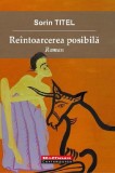 Reintoarcerea posibila | Sorin Titel, Hoffman
