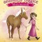 Maggie Si Animalele Magice. Vol. 3. Salvarea Unicornului, E. D. Baker - Editura Paralela 45