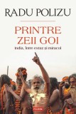 Printre zeii goi. India, intre extaz si miracol - Radu Polizu - Polirom