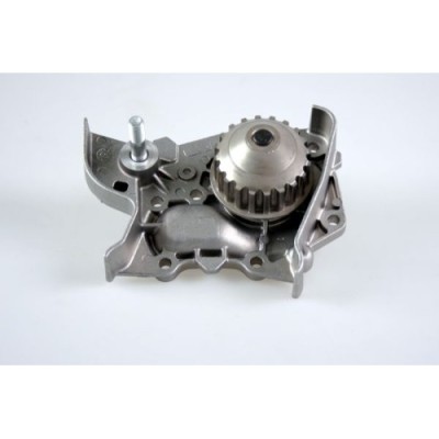 Pompa apa Hepu P931 foto