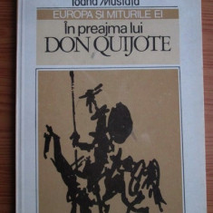 Ioana Mustata - Europa si miturile ei. In preajma lui Don Quijote