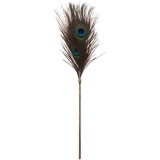 Taboom Peacock Tickler Dona accesoriu cu pene Gold 1 buc