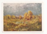 FA88 -Carte Postala- RUSIA - State Russian Museum, F.A. Vasilyev - Bog in the wood, Autumn, necirculata 1966
