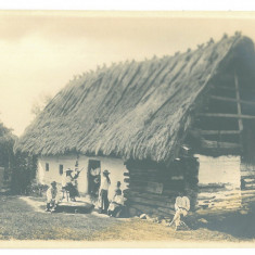 2593 - ORLAT, Sibiu, Country house, Romania - old postcard, real Photo - unused