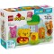 LEGO DUPLO PETRECEREA DE ZIUA DE NASTERE A LUI WINNIE DE PLUS 10457 SuperHeroes ToysZone