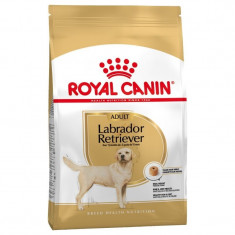 Royal Canin Labrador Retriever Adult , 3 kg foto