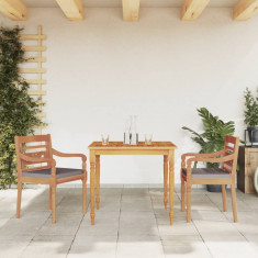 vidaXL Set mobilier grădină cu perne gri închis 3 piese lemn masiv tec