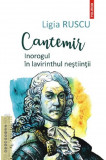 Cantemir Inorogul in lavirinthul nestiintii