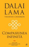 Compasiunea infinita - Editura Curtea Veche