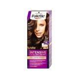 Vopsea de păr permanentă Palette Intensive cremă C9 (9,5-1) Blond argintiu