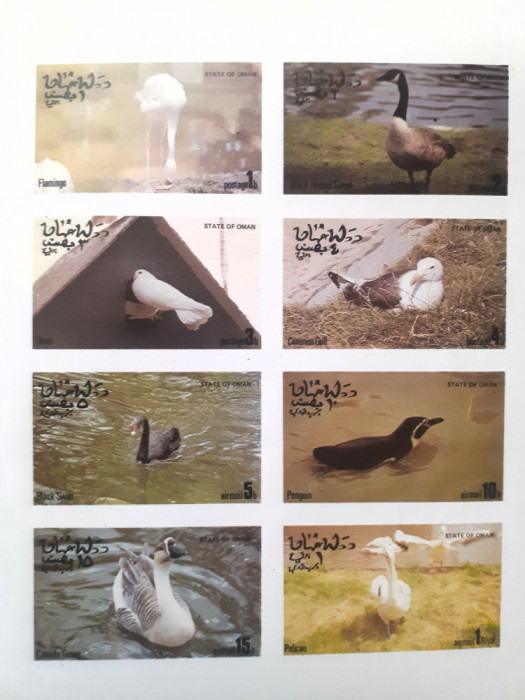 Oman, pasari, flamingo, pelican, pinguin, barza, 8v. nedantelat nestampilate