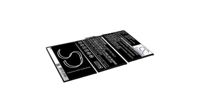 Cameron Sino 6300mAh Apple iPad 2,iPad 2 3G,iPad 2 WIFI,A1376,A1316,iPad 2 16GB Wi-Fi,iPad 2 32GB Wi-Fi,iPad 2 64GB Wi-Fi,A1395,A1396 Baterie foto