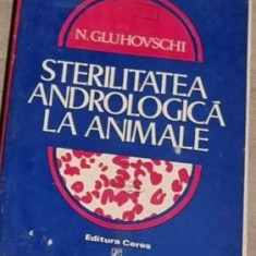 N. Gluhovschi - Sterilitatea Andrologica la Animale