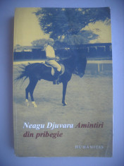 HOPCT NEAGU DJUVARA -AMITIRI DIN PRIBEGIE -2007 EDITURA HUMANITAS 502 PAG foto