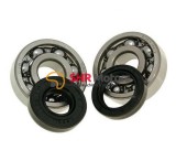 Rulmenti+ Simeringuri Yamaha AM6 50