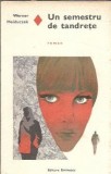 Un semestru de tandrete - Werner Heiduczek