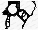 PAYEN JR5029 Garnitura, distributie