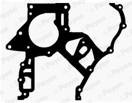 PAYEN JR5029 Garnitura, distributie