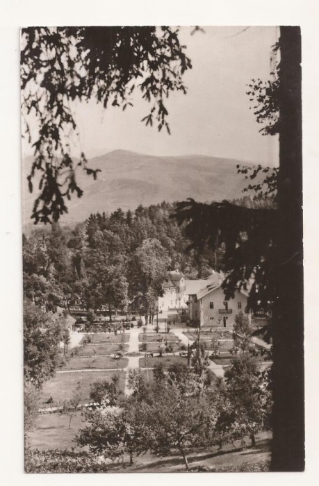 RF71 -Carte Postala- Sangeorz Bai, vedere din parc , necirculata