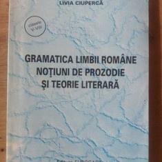 Gramatica limbii romane: Notiuni de prozodie si teorie literara- Livia Ciuperca