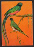 CPIB 22368 - CARTE POSTALA - BUCURESTI MUZEU GRIGORE ANTIPA. CHESALI GUATEMALA