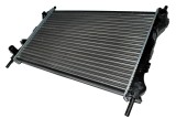 Radiator, racire motor FORD TRANSIT platou / sasiu (FM, FN) (2000 - 2006) THERMOTEC D7G020TT