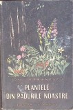 PLANTELE DIN PADURILE NOASTRE-ION SERBANESCU-347419