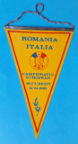 Romania &amp; Italia meci pt Campionatul European de fotbal Aprilie 1983 - Fanion