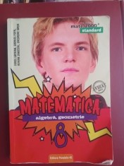 Matematica pentru clasa a 8-a - Dorel Luchian, Gabriel Popa