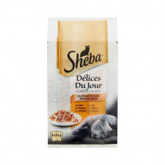 6 Plicuri Hrana Umeda pentru Pisici Sheba Mini Pouch, 50 g, Carne de Pasare si Vita, Plicuri Hrana Umeda Pisici, Pliculete Pisici, Hrana Pisici, Manca foto