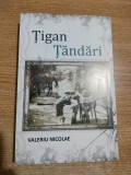 Valeriu Nicolae - Tigan tandari (Asociatia &quot;Casa Buna&quot;, Bucuresti, 2022)