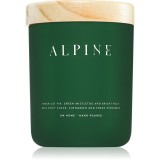 DW Home Tierra Alpine lum&acirc;nare parfumată 249 g