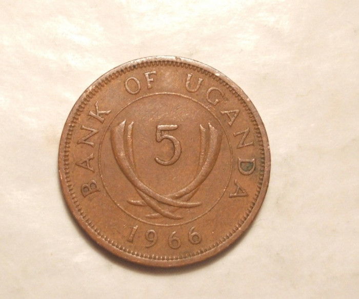 UGANDA 5 CENTI 1966