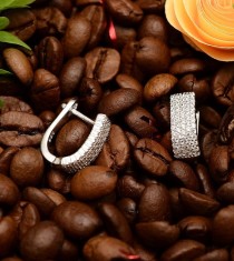 Cercei cu Tortita Argint 925 Shining Crystals ARG359F