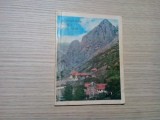 SFINTA MINASTIRE RIMET - Mihai Manolache - 1975, 16 p.+ ilustratii, Humanitas