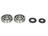 Cumpara ieftin Lagare cu arbore cotit set cu garnituri pentru KAWASAKI KDX, KX 250 1987-2001