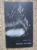 Dejunul pe iarba &ndash; Sorin Titel