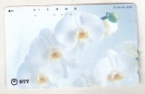 bnk card Cartele telefonice - Japonia - flora - flori