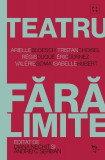 Teatru fără limite - Paperback brosat - Andrei C. Șerban, Diana Nechit - Universitatea Lucian Blaga Sibiu