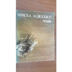 Vizite- Mircea Albulescu